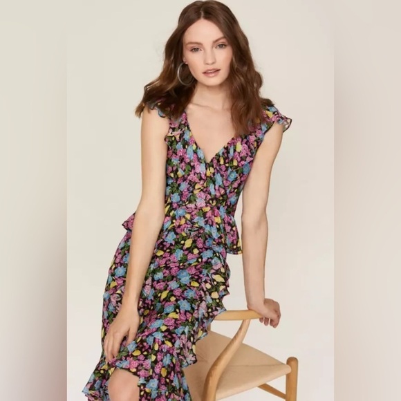 Amur EVITA Multicolor Floral Silk Chiffon Ruffle Maxi Dress Size 12 - Picture 4 of 14